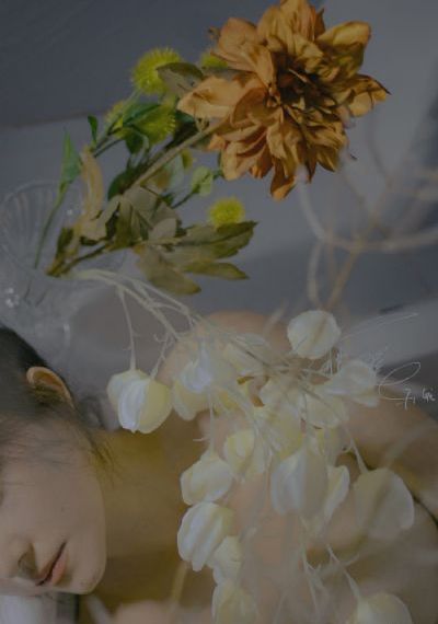 大尺牍韩剧电视剧免费观看